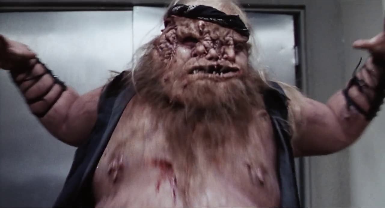 dead heat 1 dead heat 1